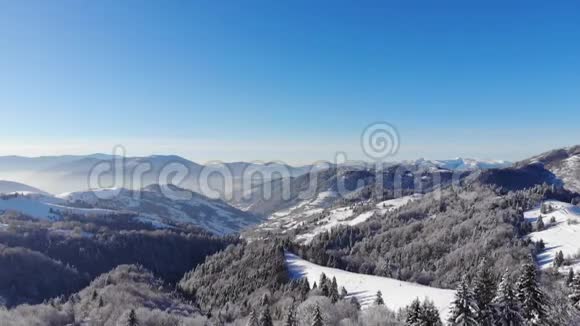 山里的冬天冬林从鸟瞰山上白雪覆盖的树木蓝天射击视频的预览图