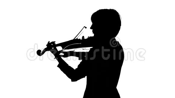 小提琴手在白色工作室表演白色背景剪影视频的预览图