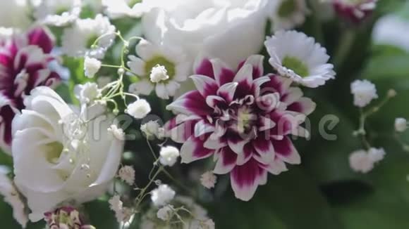合上白玫瑰和丁香花新鲜的花束夏季背景录像视频的预览图