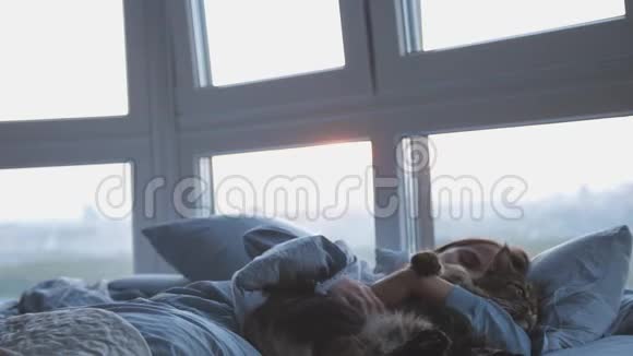 早上美丽的黑发女人醒来躺在床上打哈欠她的缅因州猫在她的房间旁边视频的预览图