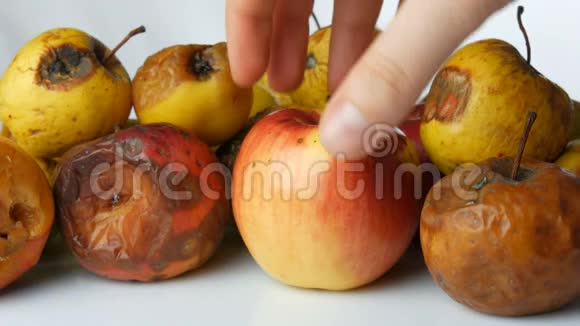 大红色成熟多汁的苹果牵着一个女人手还有牙齿的印记被腐烂的腐熟的叶子咬着视频的预览图
