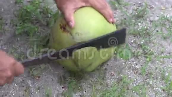 特写男手切椰子视频的预览图