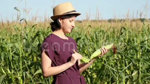 一位年轻的女农民站在玉米地里检查成熟的玉米皮以准备收割这就是视频的预览图