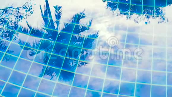 蓝色清澈的海水反射着热带棕榈视频的预览图