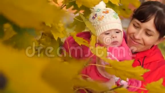 妈妈在秋天公园的树枝上展示她的小女儿黄叶视频的预览图
