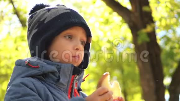 快乐的孩子在秋天的公园里休息小男孩在野餐时吃面包视频的预览图