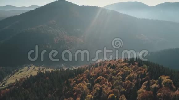 绿褐色的森林丘陵山谷中有黄色的草地视频的预览图