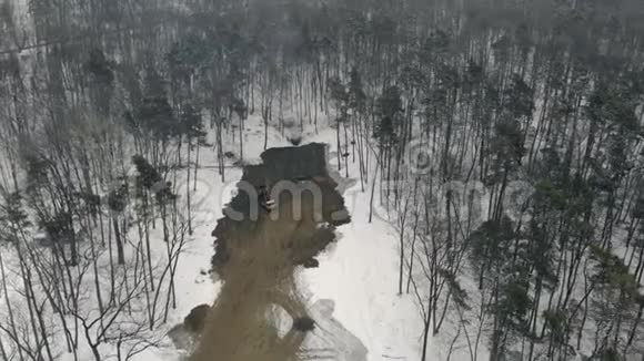 冬季砍伐森林和清理该地区视频的预览图