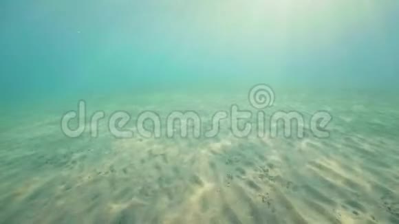 水下透过蓝色的海洋和沙质的海底看到阳光阳光照射在透明的海水和海底水下视频的预览图