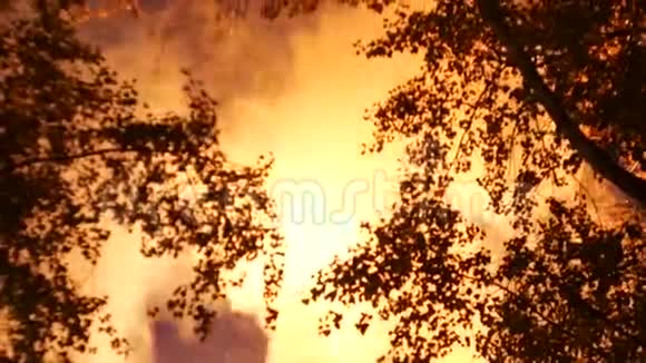 夜火充满了蒸汽和火花视频的预览图