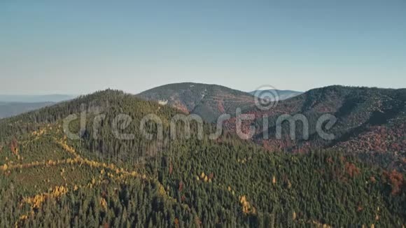 青松林覆盖的风景如画的山顶视频的预览图