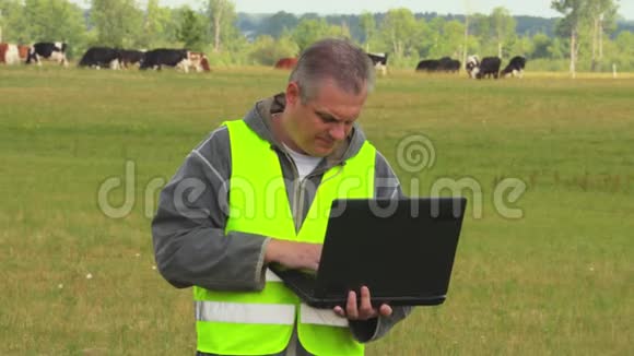 农场主手提电脑靠近牧场的奶牛视频的预览图