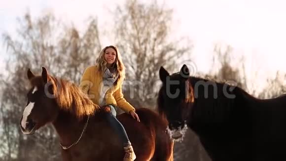 在农场骑马的女孩时髦漂亮的女孩抚摸着一匹马晴朗的冬天一天下雪了视频的预览图