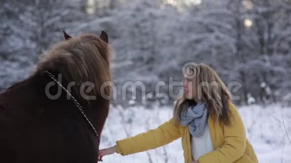 女孩在野外抚摸一匹马时髦漂亮的女孩用正确的动作训练马是的视频的预览图
