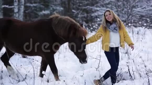 女孩在野外抚摸一匹马时髦漂亮的女孩用正确的动作训练马是的视频的预览图
