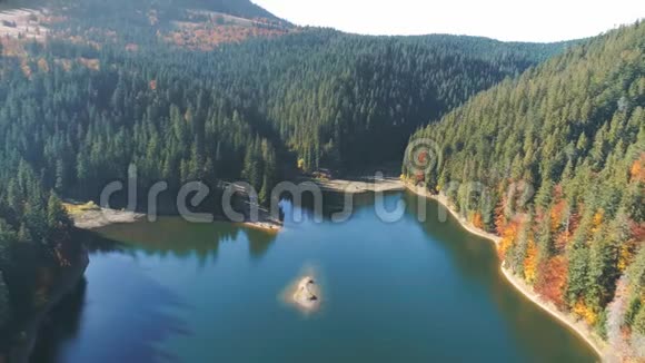 平静的湖面映出绿树的轮廓视频的预览图