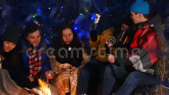 冬林之友群坐在篝火旁吃棉花糖一起度过时光视频的预览图