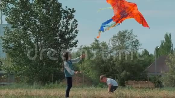 后景儿童玩风筝一个小女孩和一个男孩让一只飞蛇在草甸快乐和无忧无虑视频的预览图