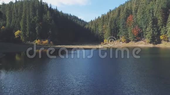 平静的蓝山湖映着松树的轮廓视频的预览图