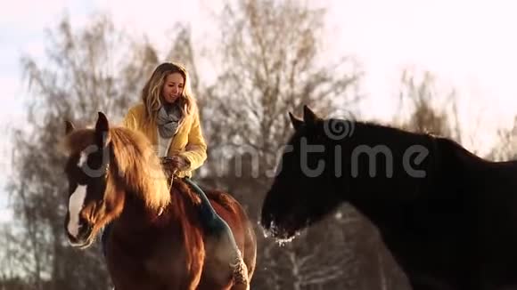 在农场骑马的女孩时髦漂亮的女孩抚摸着一匹马一个安静的阳光明媚冬天下雪了视频的预览图