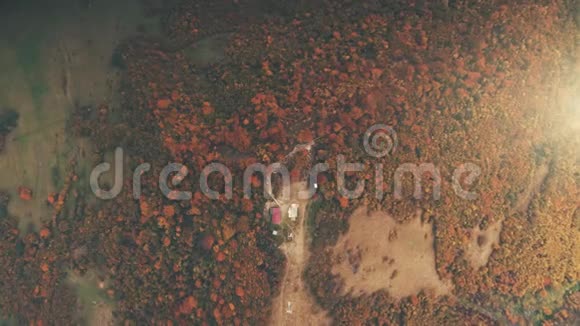 红色和棕色的森林树木环绕着农场建筑视频的预览图