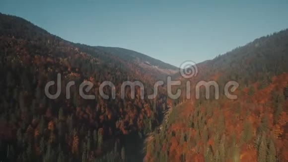 带着色彩的密林的群山之间蜿蜒的薄雾视频的预览图