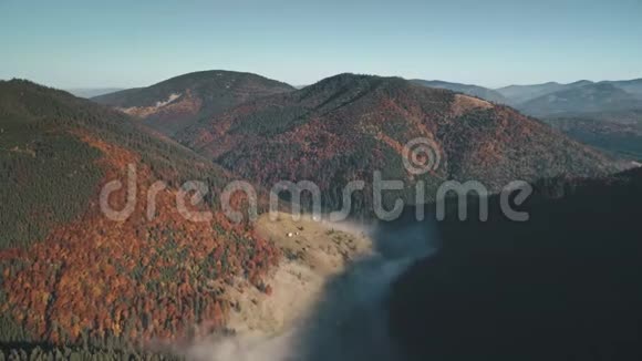 有绿色和棕色森林的图画山阳光照耀视频的预览图