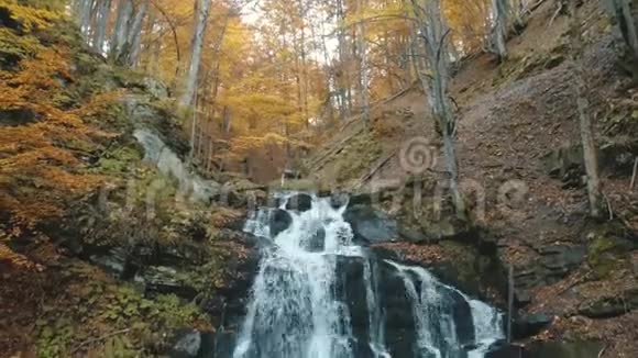 秋日高山上的瀑布和黄树视频的预览图