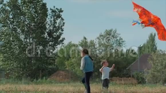 后景孩子玩风筝一个小女孩和一个男孩让一条飞蛇在草地上快乐和无忧无虑视频的预览图