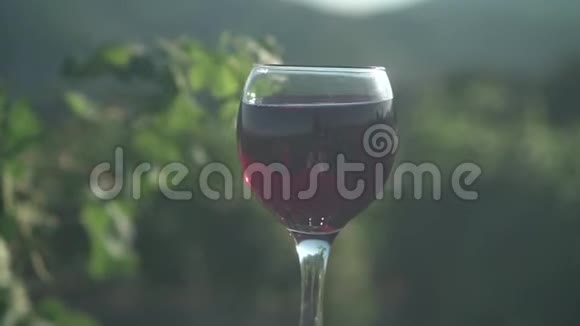 在葡萄园和山脉背景下日落时喝一杯红酒品酒的概念视频的预览图