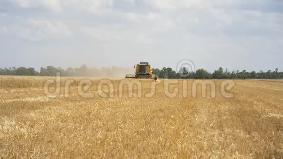 以农村为背景晴天联合收割机采熟小麦的自然景观收获视频的预览图