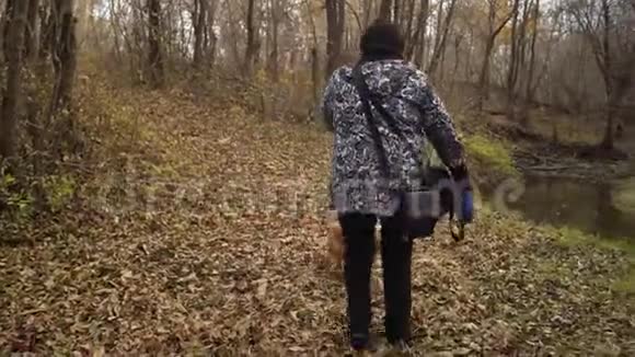 女人在溪边的秋林里玩狗欢快的狗跳跃视频的预览图