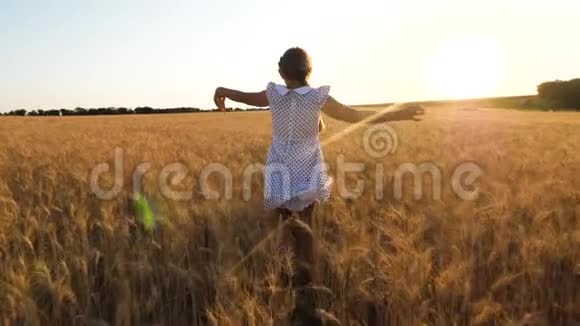 年轻女孩在成熟的小麦田里玩耍和飞翔背景是夕阳慢动作视频的预览图