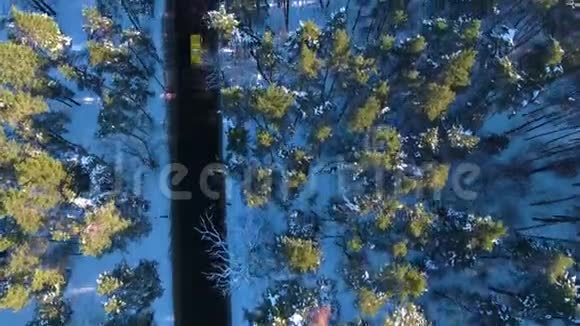 冬天的森林和道路在雪中从鸟瞰视频的预览图