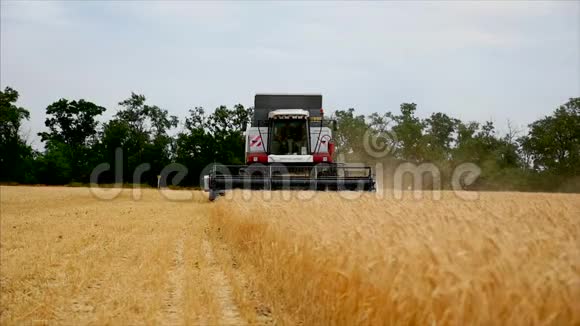 小麦背景农业机械组合收割机和拖拉机在田间工作慢运动股票视频的预览图