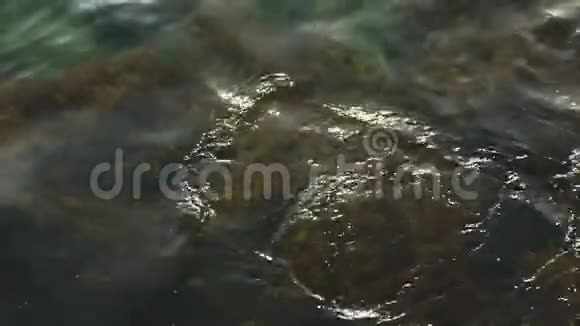 纯净的海水和海藻在岩石底部从海浪中摇曳视频的预览图