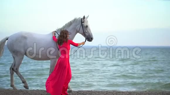 年轻浪漫的女孩穿着红色的裙子在大海的背景下带着白马在阳光下散步女骑手视频的预览图