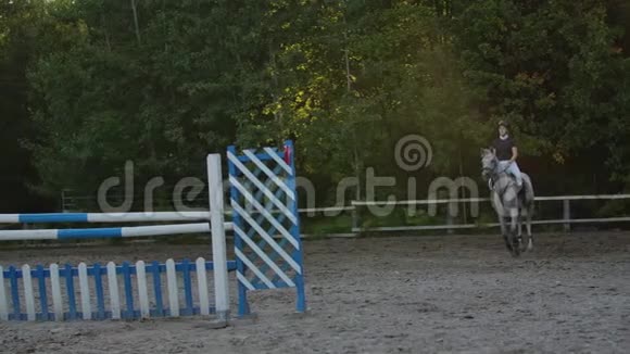 下面的动作结束低潮骑马的女孩骑着强壮的棕色马在阳光明媚的户外沙滩跑酷跳过篱笆视频的预览图