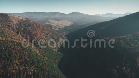 阳光照射在图画山上的混合丘陵森林视频的预览图
