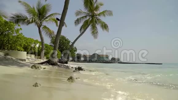 带椰子棕榈和木屋的热带海岸度假胜地视频的预览图
