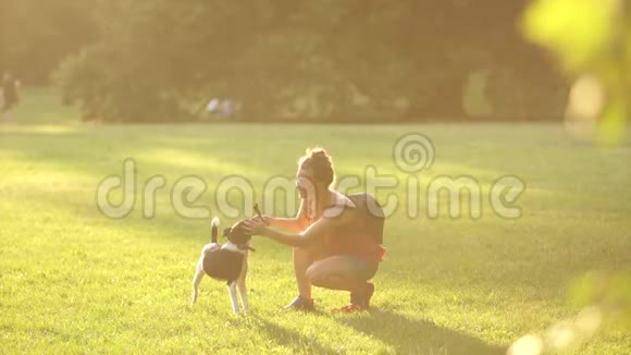 漂亮的年轻女孩穿着t恤短裤和眼镜背着背包玩她的狗抚摸她狗训练视频的预览图
