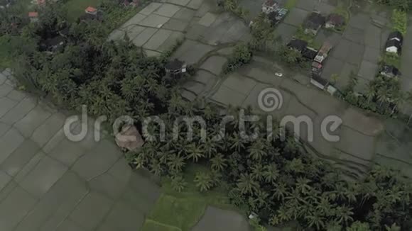 巴厘岛的乡村房屋和稻田视频的预览图