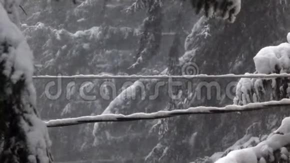 森林里电线上堆积的白雪视频的预览图