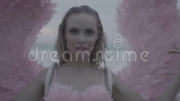 粉红翅膀的美丽天使视频的预览图