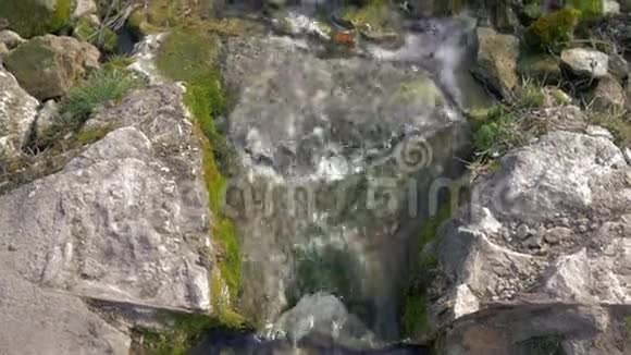 溪水从苔藓石上流过视频的预览图