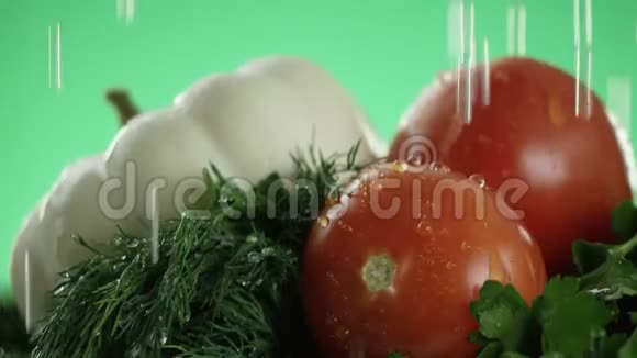 在视频中我们看到一个白色的南瓜西红柿和绿色水滴从顶部涌出绿色的背景视频的预览图