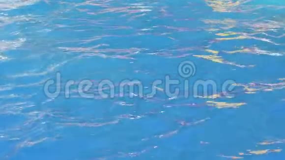 穿着泳衣的年轻女子跳进干净的蓝色游泳池在水下消失视频的预览图