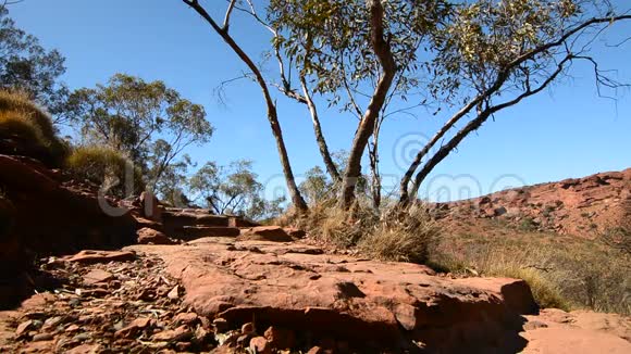 国王峡谷边缘步行景观瓦塔尔卡国家公园北部地区澳大利亚视频的预览图