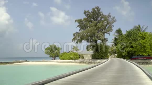 海洋长廊美丽的热带海岸景色与棕榈树在夏季度假视频的预览图
