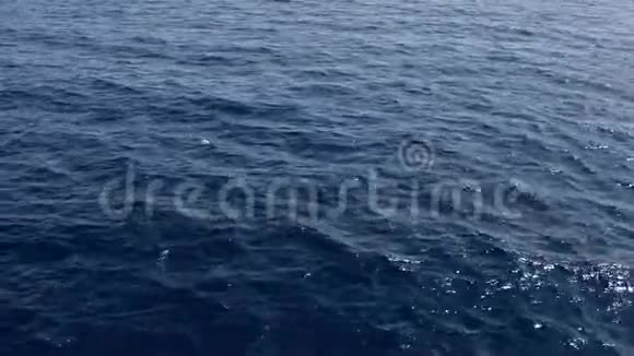 水面洁净纹理背景蓝色的海水纹理平静和平的背景海面视频的预览图